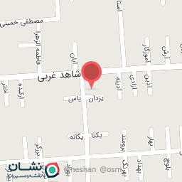 عکس پیتزا کاج