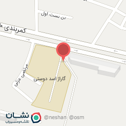 عکس لنت کوبی و تعمیر دیسک