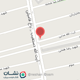 عکس کیف و کفش آرکا