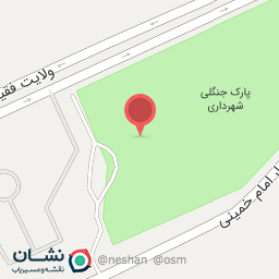 عکس کیف و کفش وینکا