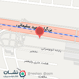 عکس صافکاری دوقلو ها