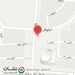 عکس غذای آماده معظمی