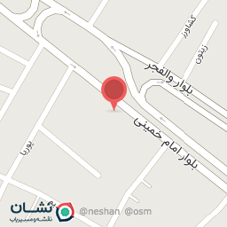 عکس مرغ زنده سببی