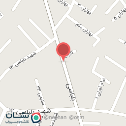 عکس کبابی بذار