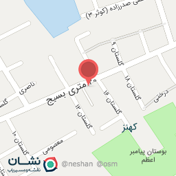 عکس اکسسوری پارسا 