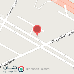 عکس نجاری امین