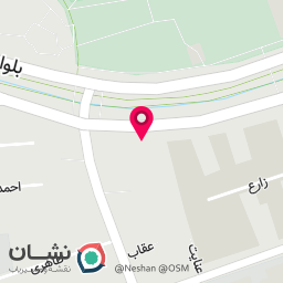 عکس فست فود لیان
