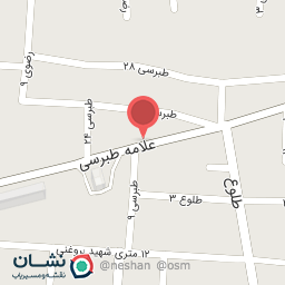 عکس پرنده فروشی 