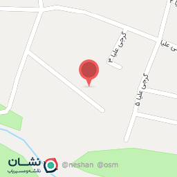 عکس قالیشویی الهه پاکی 