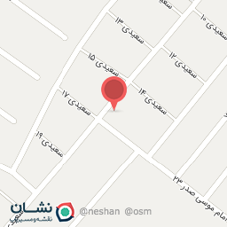 عکس مارتین رایانه