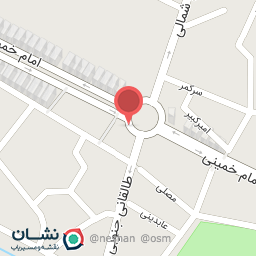 عکس کیف وکفش کارن