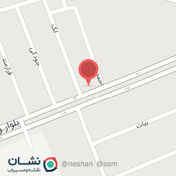 عکس برق خودرو رضا سلطانی