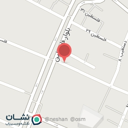 عکس کارواش فلسطین