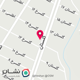 عکس مکانیکی استاد بخشی فرامرزی