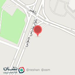 عکس اتو سرویس صادقی