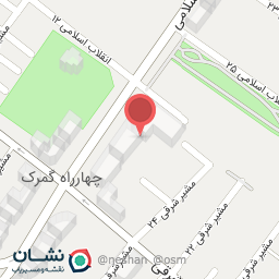 عکس تیم مهندسی زرافه