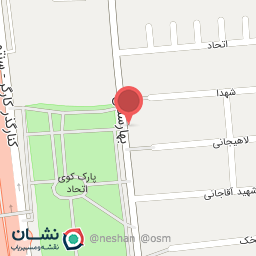 عکس هییت شاه حسین گویان سید الشهدا