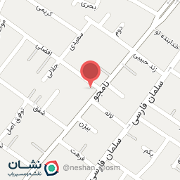 عکس پیتزا نشاط نو