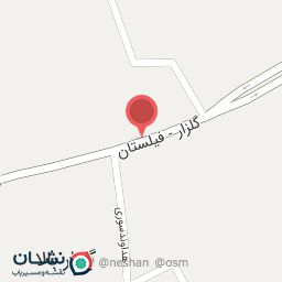 عکس خودپرداز