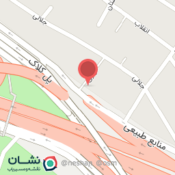 عکس یدکی سعید 