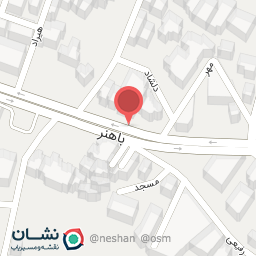 عکس پیتزا شمس