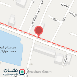 عکس دکتر زهرا مینقی