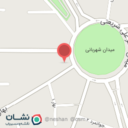 عکس پیتزا سعدی