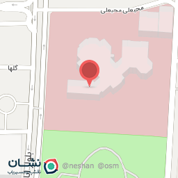 عکس دکتر رامین ارژنگ فلوشیپ زانو