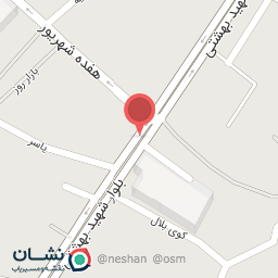 عکس کیف و کفش پردیس