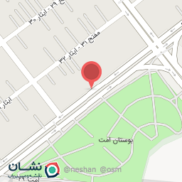 عکس مرغ بریان چیکن