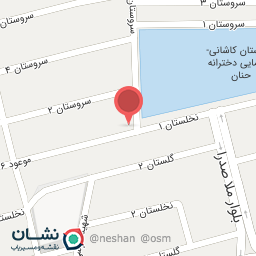 عکس مرغ فروشی کیانا