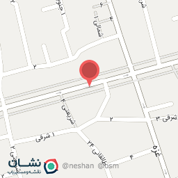 عکس کفش طبی پاسارگاد