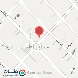 عکس پیتزا و ساندویچ گلها