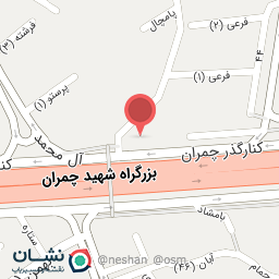 عکس همبرگر محله