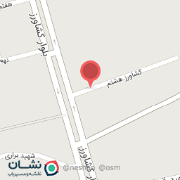 عکس قصابی شکری 