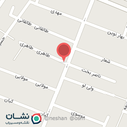 عکس کیف و چمدان ایده آل