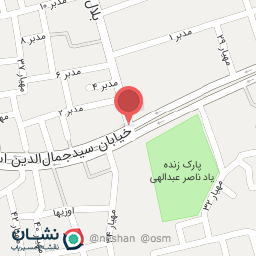 عکس کفش ایران 