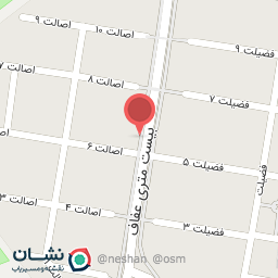 عکس تنظیم موتور و دیاگ یاری