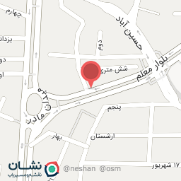 عکس فست فود بریان