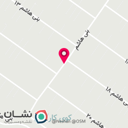 عکس شوینده بهداشتی آرتا