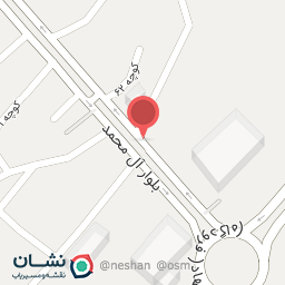 عکس پیتزا لیمو