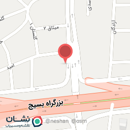 عکس لاستیک فروشی 