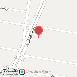 عکس دکتر نسرین وحید