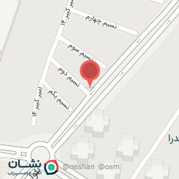 عکس پاچینی زربال