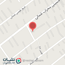 عکس چاپ سیلک دیپلمات