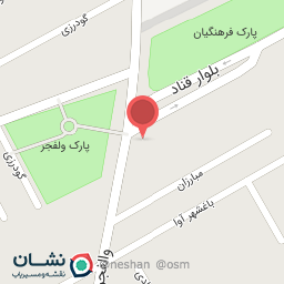 عکس کولر اتومبیل علیزاده 