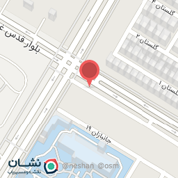 عکس رینگ و لاستیک امیر