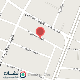 عکس کیف کارینا