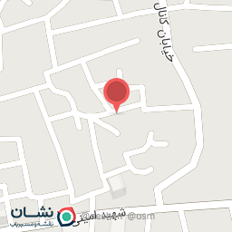 عکس الکتریکی نادر