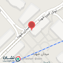 عکس خودپرداز